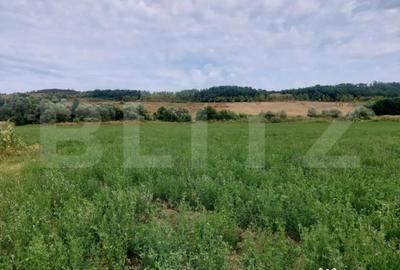 Teren de 27500 mp, în Răscruci - 3