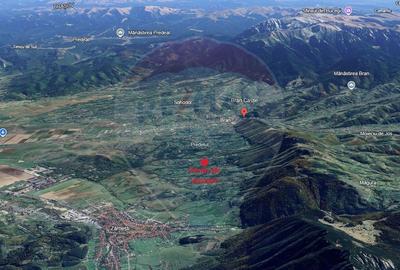 Teren 4,223mp Zarnesti - Tohanita - 4