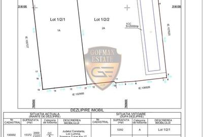 Teren Construcții intravilan de 5392 mp, în Lumina - 2