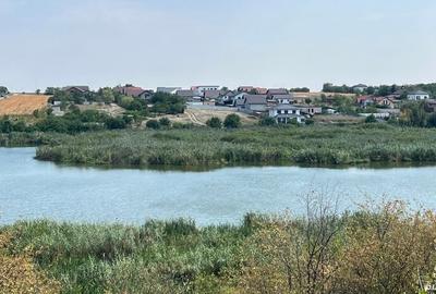 Teren de 10445 mp, în Cernica - 10