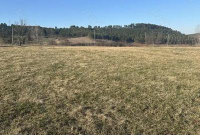 Teren de 1200 mp, în Sava - 3