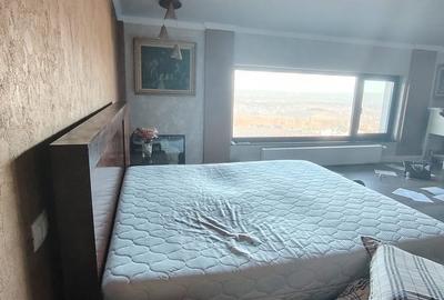 Casa 300 mp utili, 800 mp teren, Bucium - 10