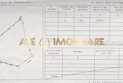 Spațiu comercial, în Vizurești - 1