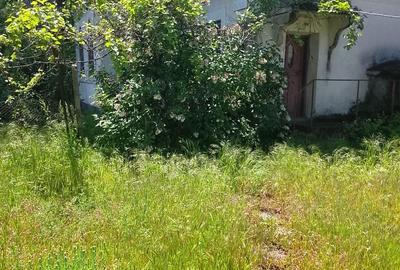 Teren de 2714 mp, în Dobrești - 4