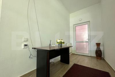 Vila spa?ioasa de 213 mp cu curte de 500 mp de inchiriat - 14