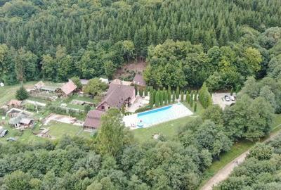 Spațiu comercial, de 800 mp, în Valea Crișului - 6