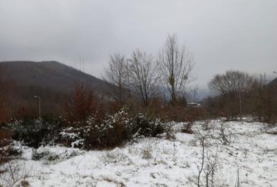 Spațiu comercial, în Cârțișoara - 1