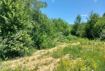 Teren intravilan 3900 mp Porumbacu de Sus, Sibiu - 8