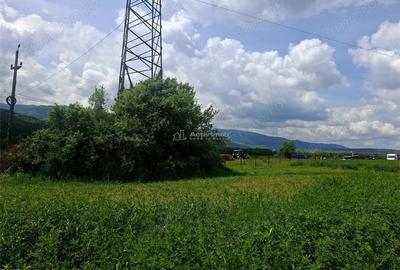 Teren de 500 mp, în Periferie