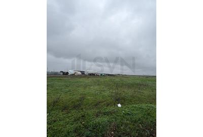 Teren Construcții intravilan de 1900 mp, în Tunari - 2