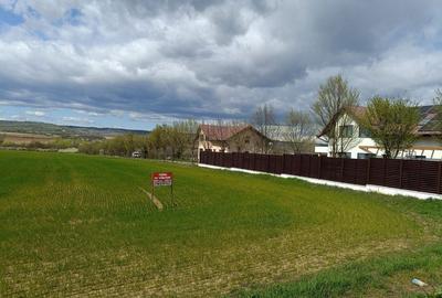 Teren de 5000 mp, în Valea Călugărească