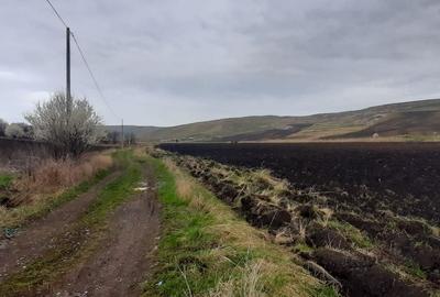 Teren agricol pentru investitii, zona Valea Calda -Iris - 2