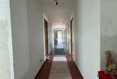 De vanzare casa cu curte generoasa - Fierbinti Targ, Ialomita - 6