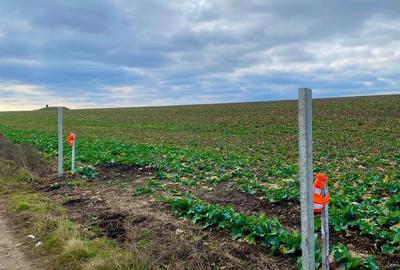 Teren de 508 mp, în Valea Lupului - 2