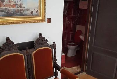 Casă cu 6 camere cu Teren 6000 Mp în Chichiș - 2