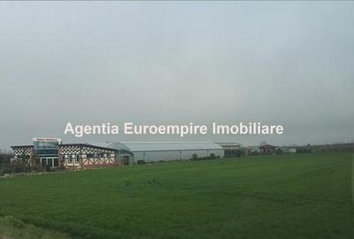 Teren de 25000 mp, în Agigea - 6