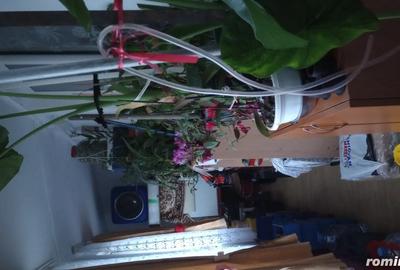 Apartament cu 2 camere decomandat în Central - 5