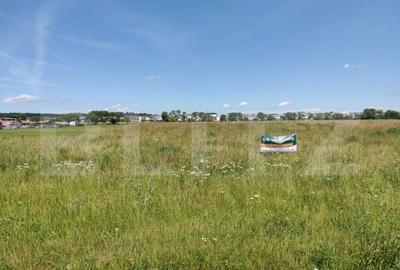 Teren 8782 mp Arhitectilor - 2