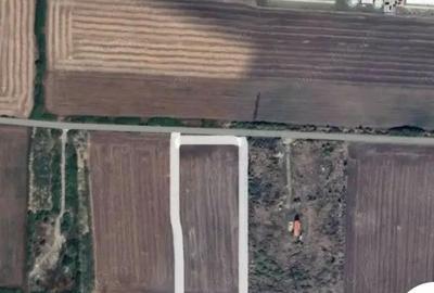 Teren de 10000 mp, în Aradului