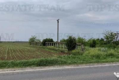 Teren de 7500 mp, în Cazasu - 1