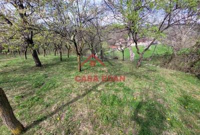 Teren intravilan in Baicoi central 2338 mp 42.000e - 3