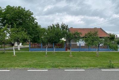 Casă cu 4 camere cu Teren 1656 Mp în Iecea Mică - 7