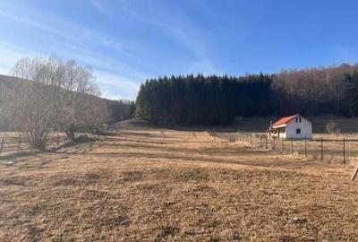 Teren Construcții intravilan de 4521 mp, în Valea Doftanei - 13