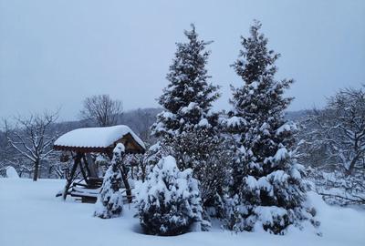 Casă în Sibiel - 10