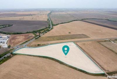 Teren DN6 Timi?oara -Cenad sens giratoriu Dude?tii Noi - 1