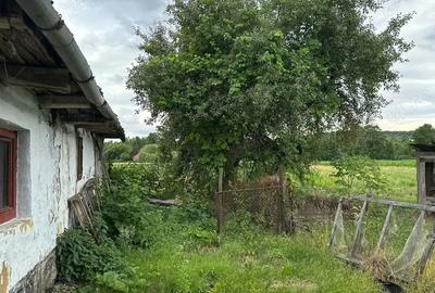 Casă cu 3 camere în Asuaju de Jos - 7