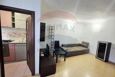 Garsonieră semidecomandată, mobilată în Drumul Taberei - 8