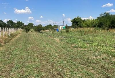 Teren Construcții intravilan de 6150 mp, în Grădiștea - 1