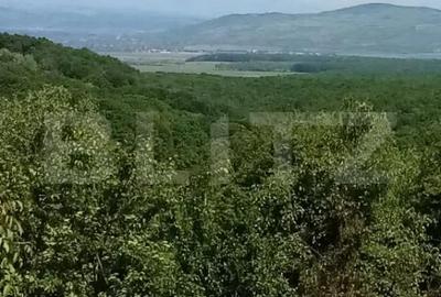Teren de 1700 mp, în Seciu - 5