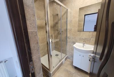 Casa individuala, ideala sediu firma Rahova- Teius - 16