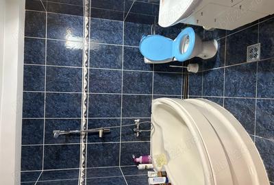 Casă cu 2 camere în Scorțeni - 3