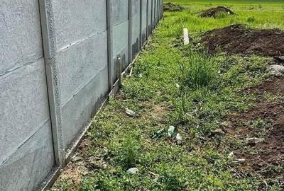 | TEREN 374 MP | COMUNA BERCENI-MIORITA | INTRAVILIAN | - 4