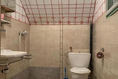 Casă cu Teren 2800 Mp în Muntele Băișorii - 10