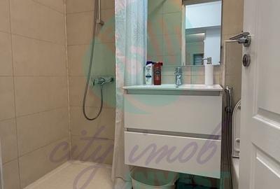 Garsoniera ideala ca BIROU sau LOCUINTA  -  Decebal - Piata Alba Iulia - 10