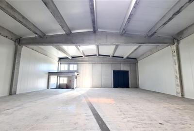 Spatii industriale, de la 523 mp, Timisoara exterior NORD - 2