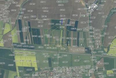 COMISION 0% Terenuri agricole 10.750mp si 700mp| Recas - 2