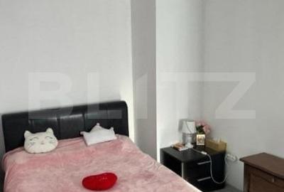 Investitie! Apartament 2 camere Tineretului - 4
