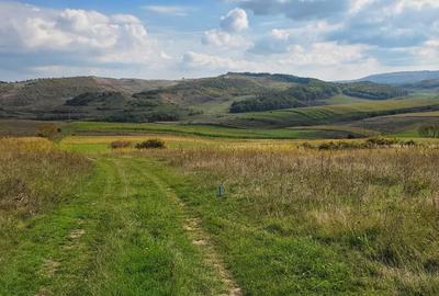 Spațiu comercial, în Deușu - 1