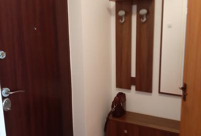 Tineretului metrou,garsoniera amenajata modern-utilata,bloc mixt,reabilitat - 4