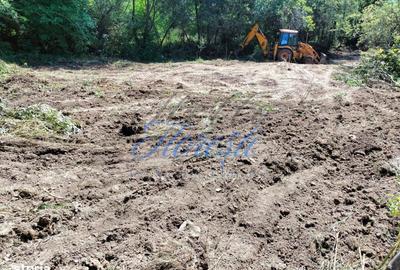 Teren de 1300 mp, în Iara - 5