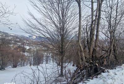 Spațiu comercial, în Ghioșești - 1