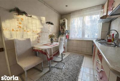 Apartament cu 2 camere, mobilat în Terezian