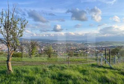 Teren extravilan, 1354 mp, Colonia Breaza - 5