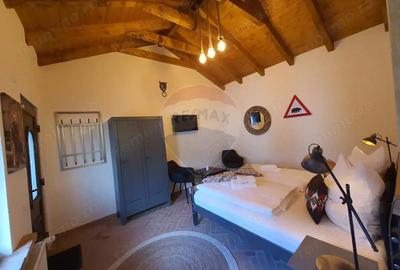 Casă cu 6 camere cu Teren 3900 Mp în Mediaș - 12