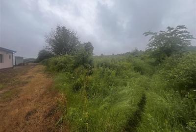 Teren intravilan, 1000mp, in Valea Calugareasca. - 8