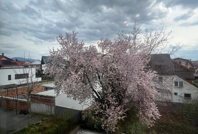 Casă cu 4 camere în Central - 4